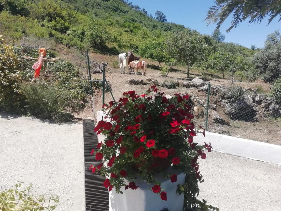 Casinha Da Lareira - Quintinha Dos Cavalos- Arruda Dos Vinhos Exteriör bild