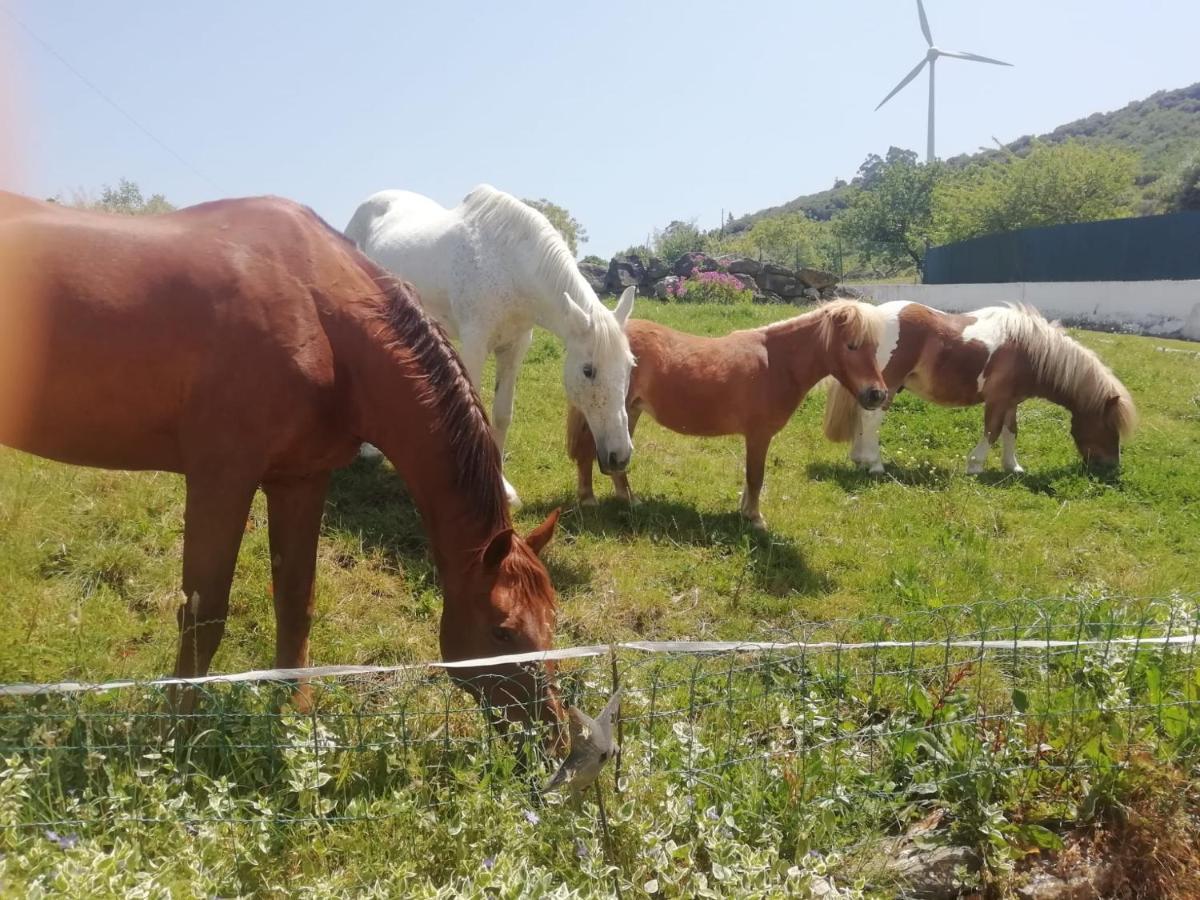 Casinha Da Lareira - Quintinha Dos Cavalos- Arruda Dos Vinhos Exteriör bild