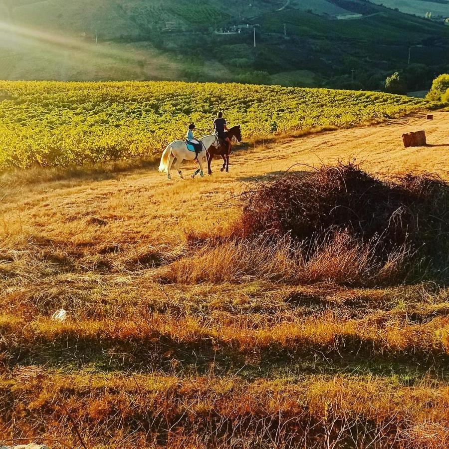 Casinha Da Lareira - Quintinha Dos Cavalos- Arruda Dos Vinhos Exteriör bild