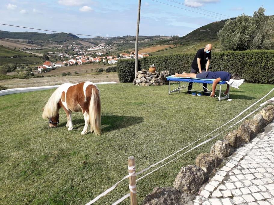 Casinha Da Lareira - Quintinha Dos Cavalos- Arruda Dos Vinhos Exteriör bild