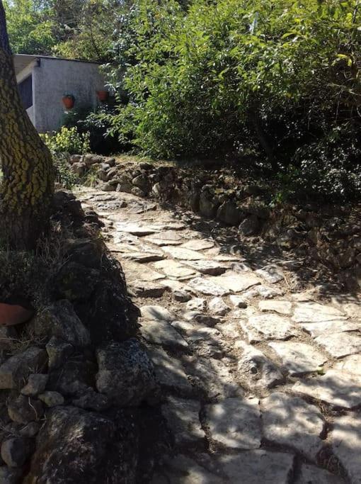 Casinha Da Lareira - Quintinha Dos Cavalos- Arruda Dos Vinhos Exteriör bild